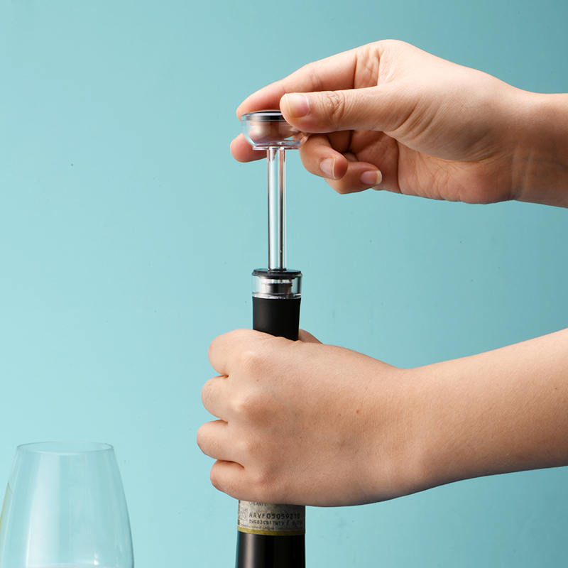 5 St Zwarte Vacuümpomp Herbrui - Beer Wine Hobby recensie en prijs