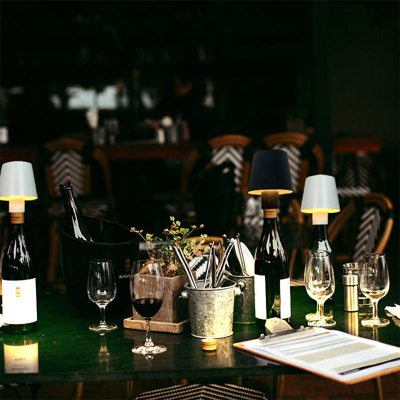 Huisdecoratie Dimbare Oplaadba - Wine & Beer Packages recensie en prijs